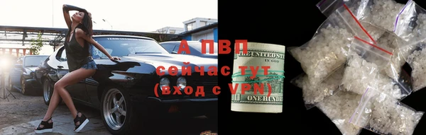 прущие грибы Горно-Алтайск