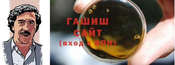прущие грибы Горно-Алтайск