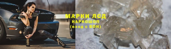 прущие грибы Горно-Алтайск
