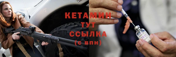 прущие грибы Горно-Алтайск