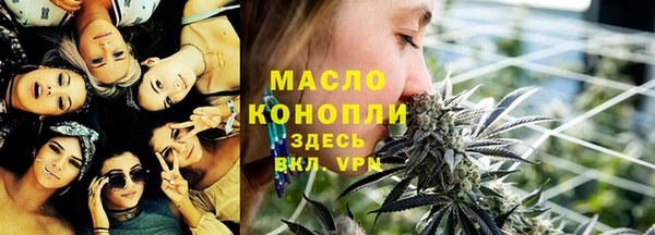 прущие грибы Горно-Алтайск