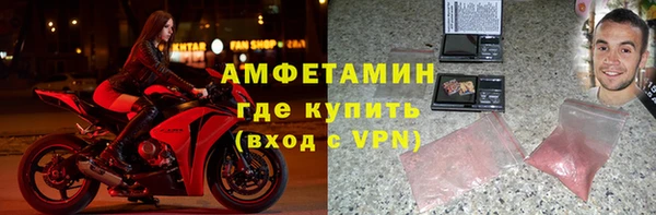 прущие грибы Горно-Алтайск