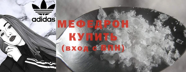 прущие грибы Горно-Алтайск