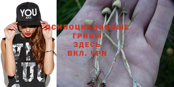 скорость Горняк