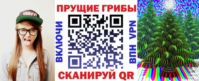 Псилоцибиновые грибы Cubensis что такое Цимлянск